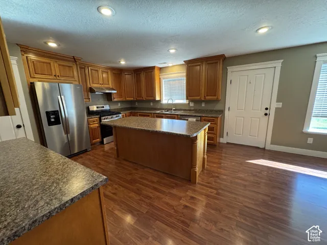 Kitchen featuring wood-finish flooring, recessed lighting, wood cabinetry, and stainless steel appliances
