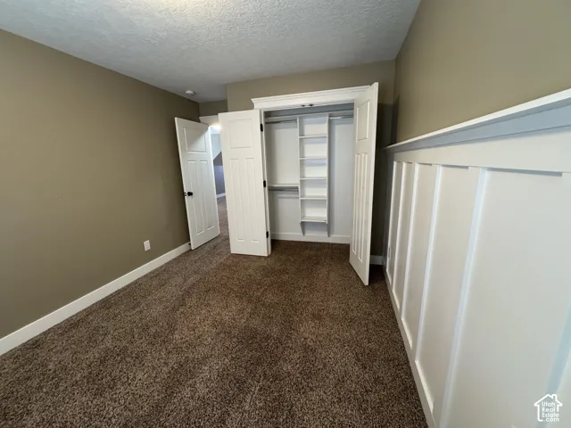 Carpeted room featuring custom millwork, a built-in closet system with shelving, and white interior doors