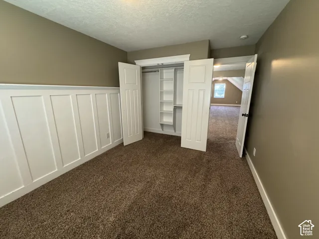 Wall paneling detail, built-in closet shelving, and brown carpet flooring