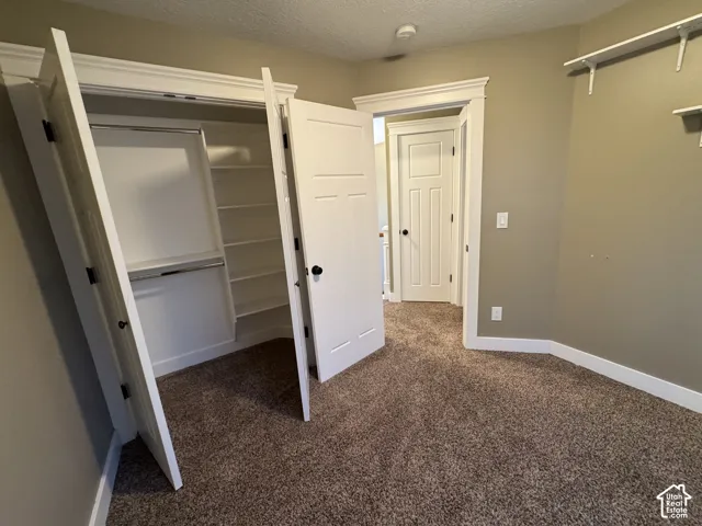 Carpeted room featuring a built-in closet with shelving and hanging rods, white trim, and a white interior door