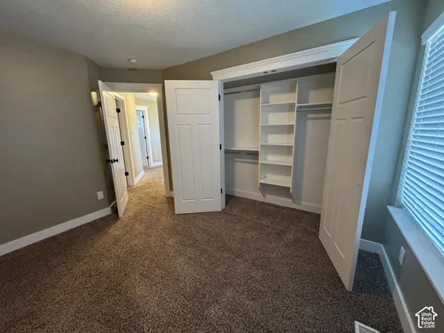 Brown carpeted flooring, white trim, white paneled doors, built-in closet shelving, and horizontal window blinds