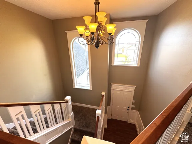 Staircase with wood handrail, white balusters, and carpeted treads