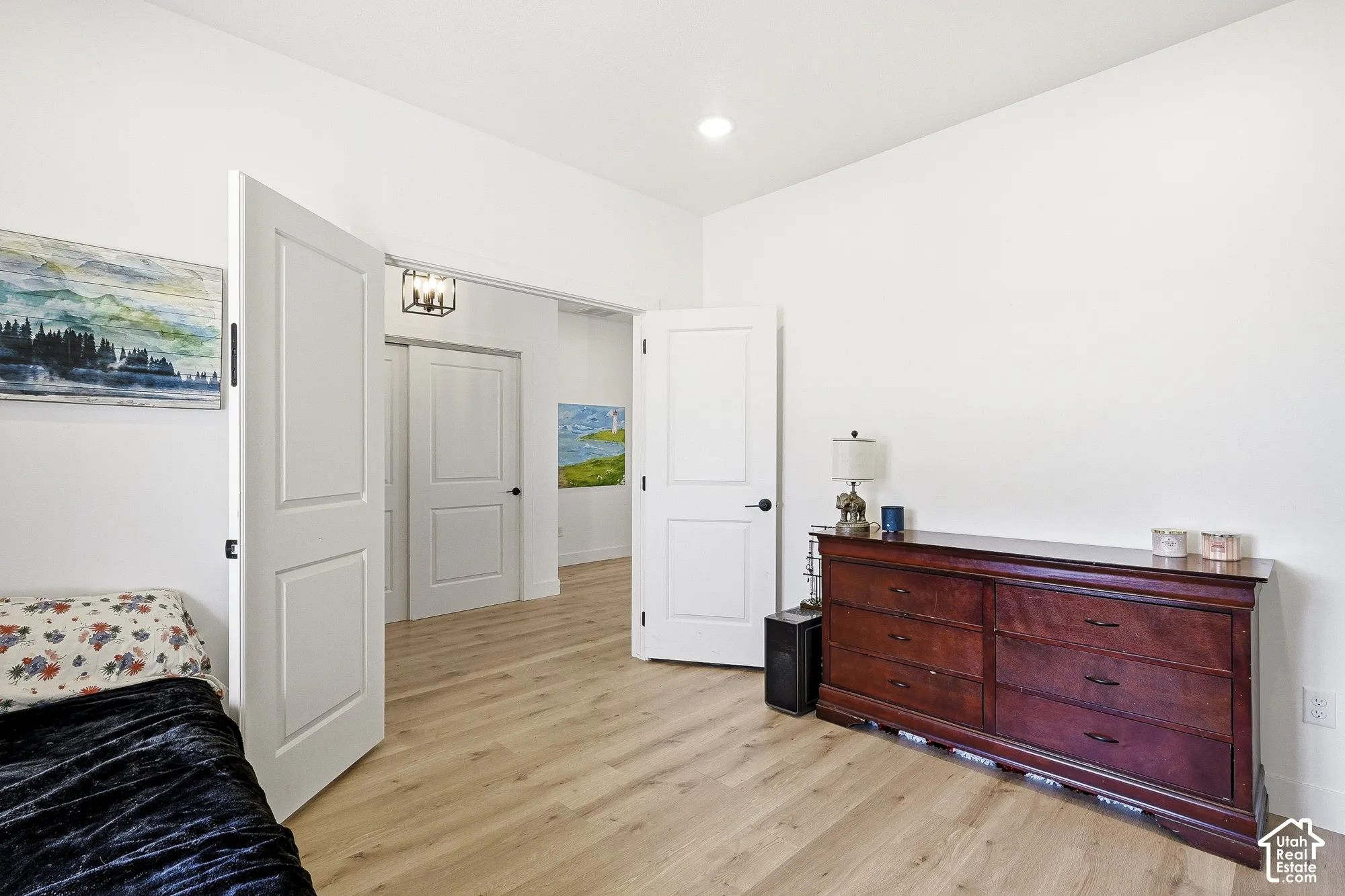 Recessed ceiling light, wood-finish flooring, white paneled doors, and a linear overhead fixture
