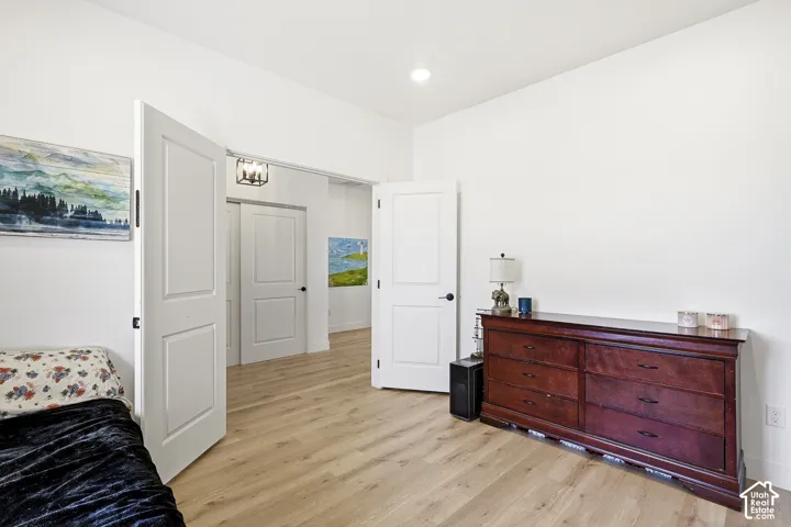 Recessed ceiling light, wood-finish flooring, white paneled doors, and a linear overhead fixture