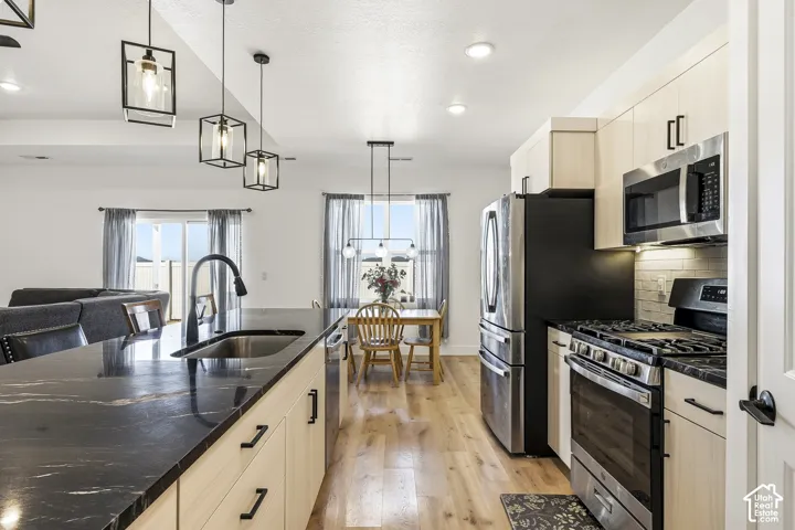 Kitchen featuring a dark stone countertop, stainless steel appliances, light wood-finish cabinetry, and wood-finish flooring