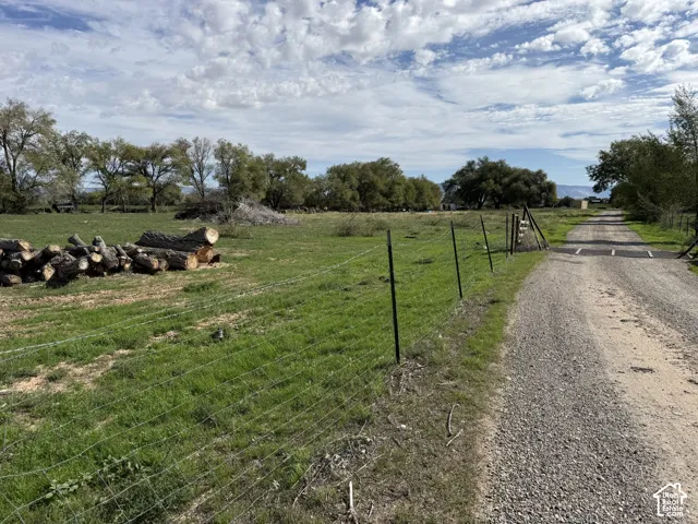Expansive green field with mature trees, a gravel road, and wire fencing