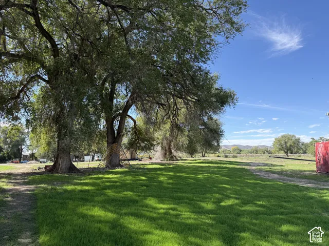 Expansive green lawn with mature trees providing ample shade