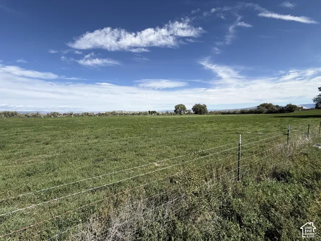 Expansive open field with green ground cover and distant tree line