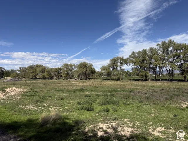 Expansive open land featuring a mix of green grass and dry patches, bordered by a line of mature trees