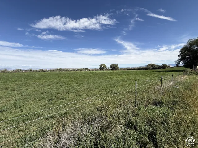 Expansive green field with perimeter fencing, distant trees, and a clear blue sky