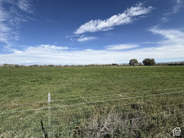 Expansive green field with a wire fence in the foreground