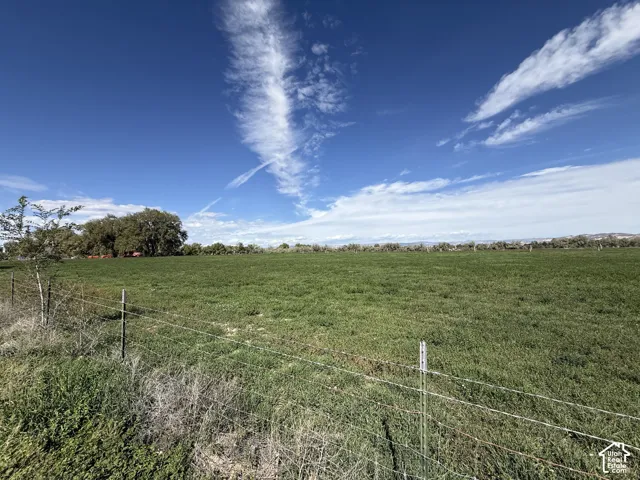 Expansive green field with natural fencing and mature trees