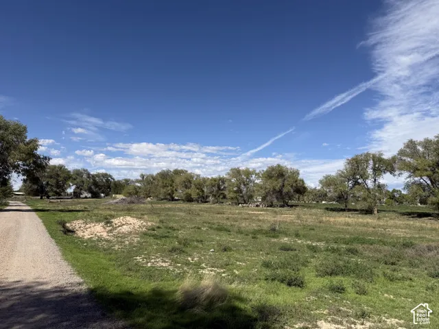 Expansive open lot with natural grass and scattered mature trees, bordered by a gravel pathway