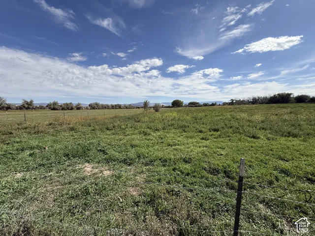 Expansive green land area with scattered trees, a wire fence, and distant mountains under a blue sky