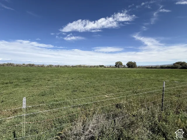 Expansive green field with a wire fence in the foreground
