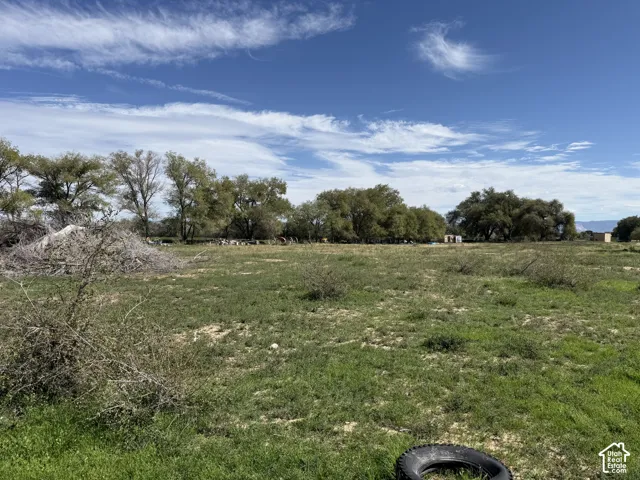 Expansive undeveloped parcel featuring mature trees and open fields