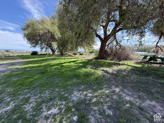 Expansive grassy area with mature shade trees