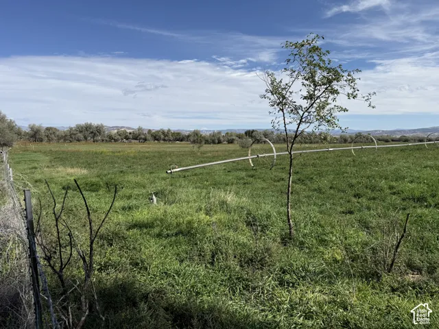 Expansive green acreage with distant trees and a clear sky