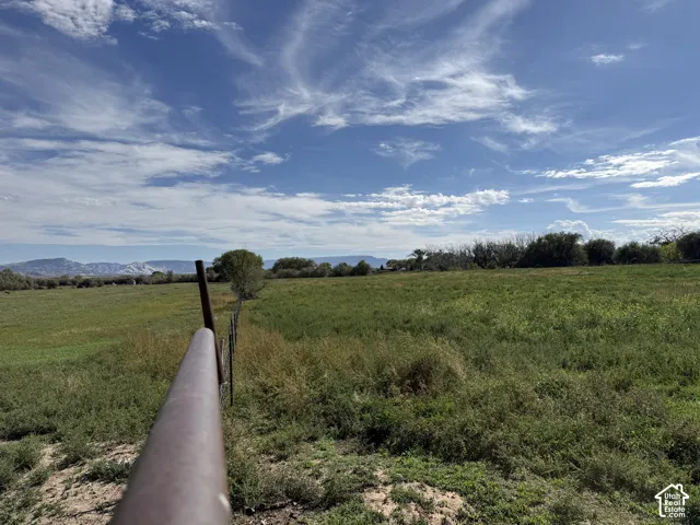 Expansive green field with natural vegetation and distant mountains