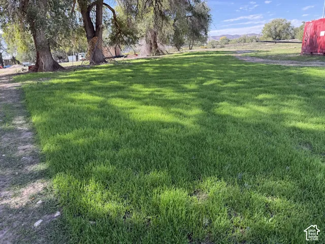 Expansive green space with mature trees providing dappled shade