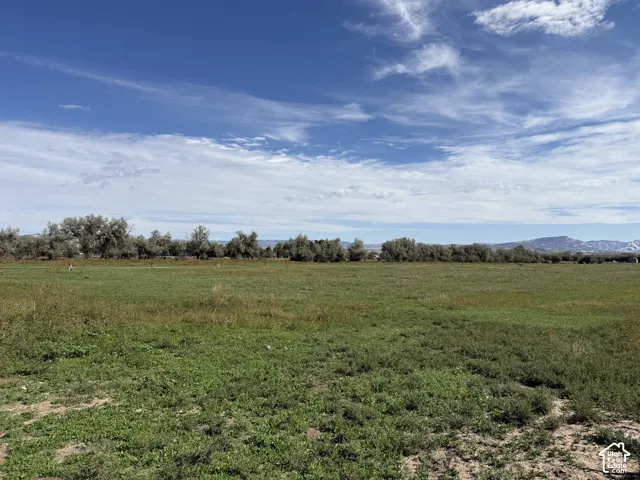 Expansive green field with natural ground cover, mature trees along the perimeter, and distant mountain scenery