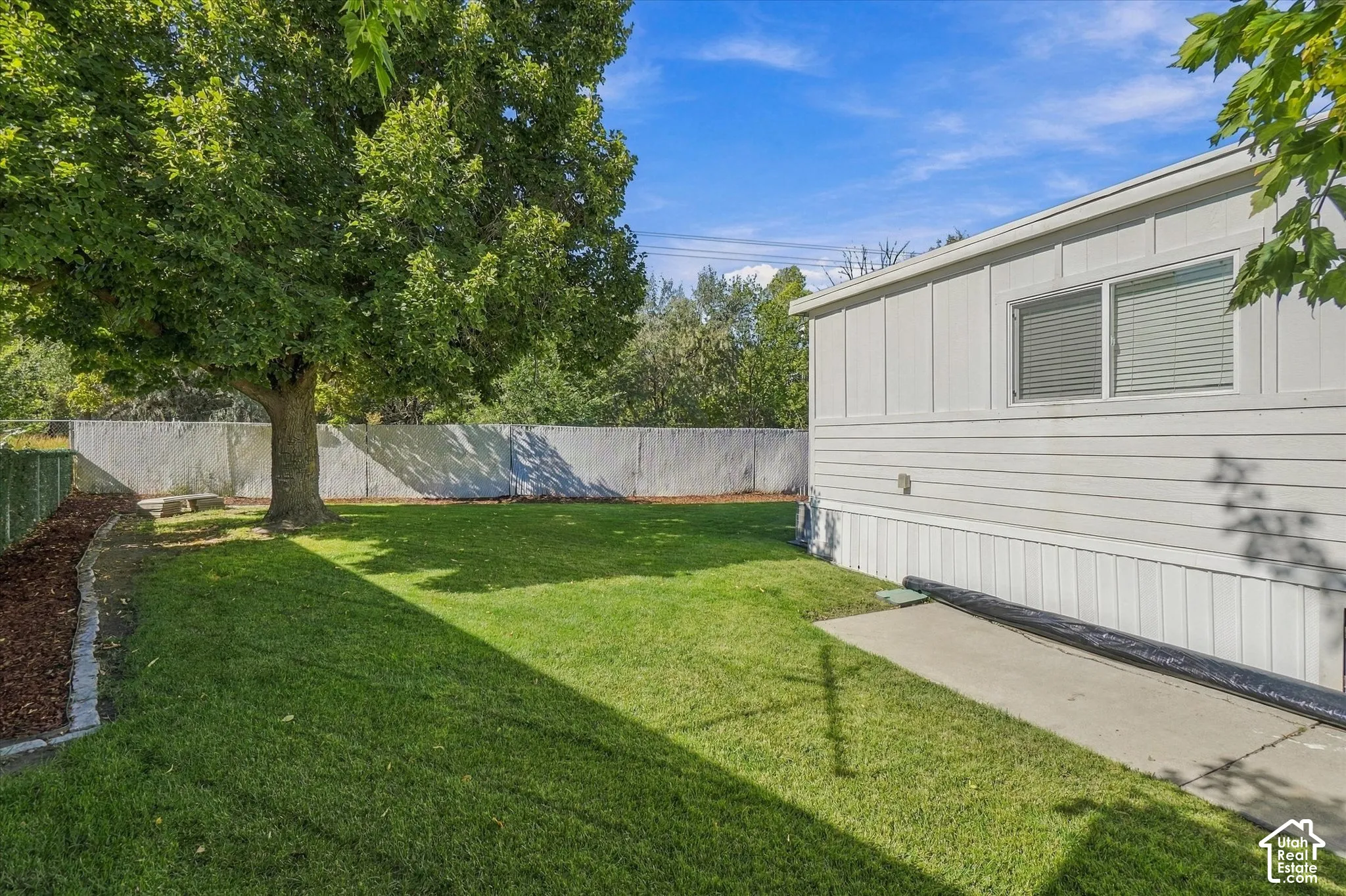 Expansive green lawn with mature shade tree