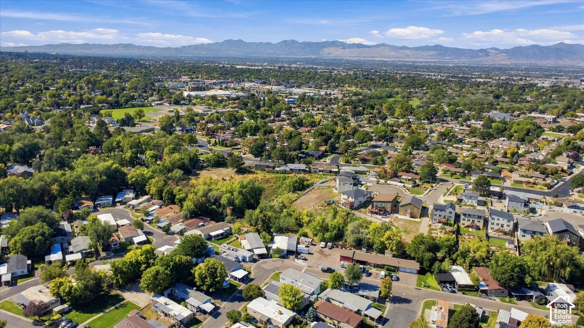 Residential area with established trees and mountain backdrop