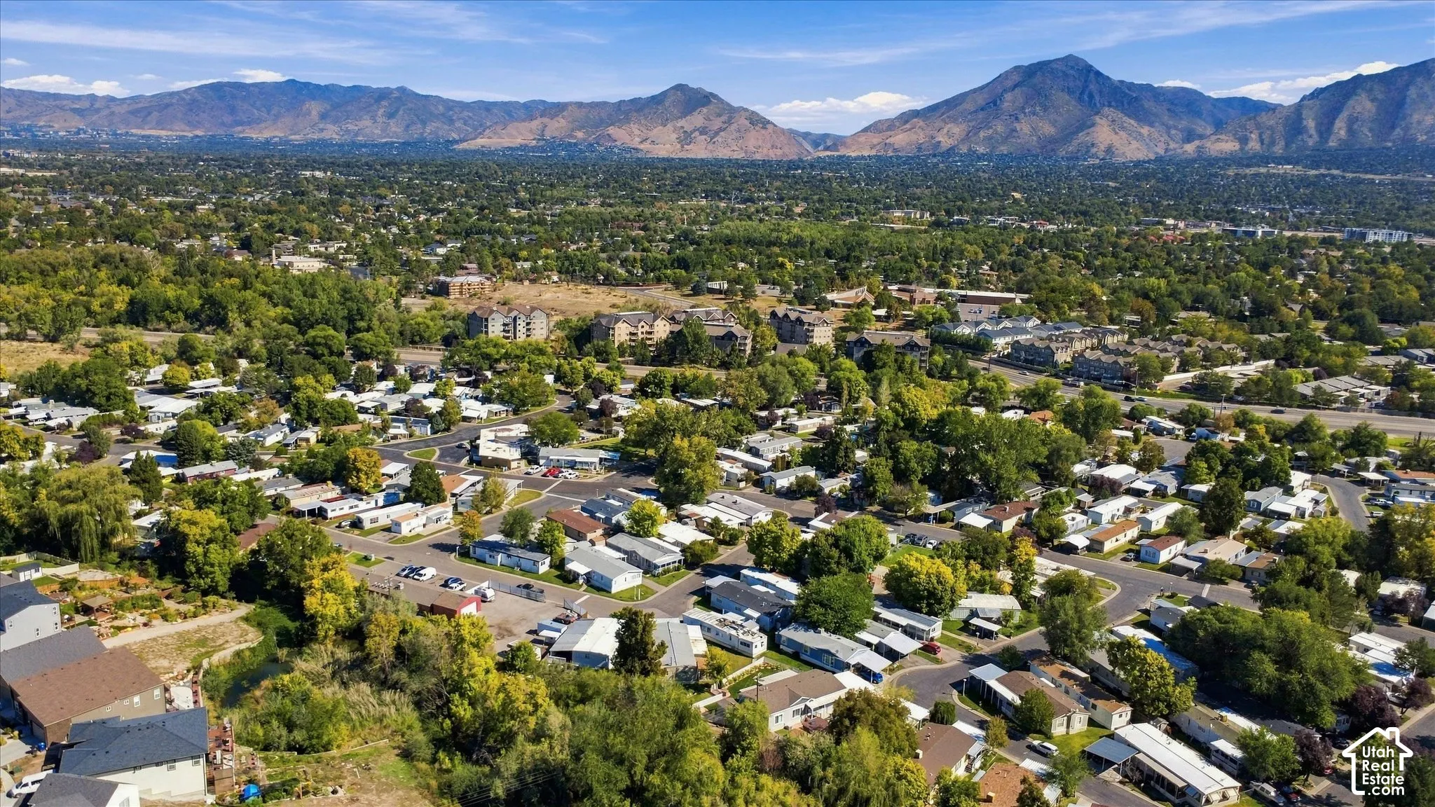 Expansive residential area with abundant mature trees and mountainous terrain
