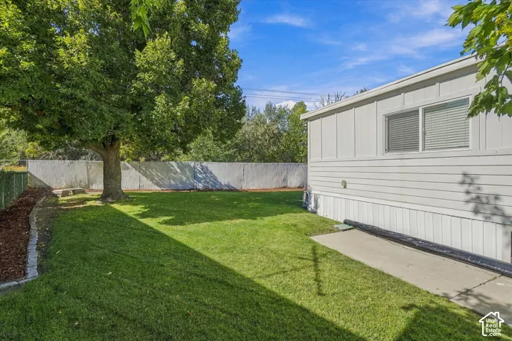 Expansive green lawn with mature shade tree