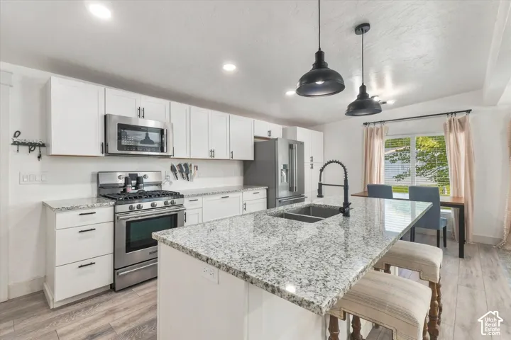 White cabinetry with dark hardware, stainless steel appliances, speckled stone countertops, dual basin sink with gooseneck faucet, and wood-finish flooring