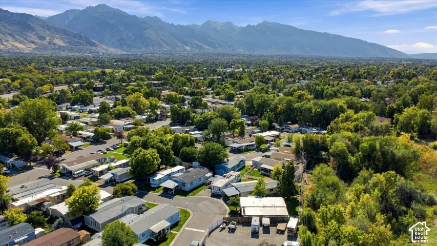 Expansive neighborhood featuring mature trees and mountain scenery