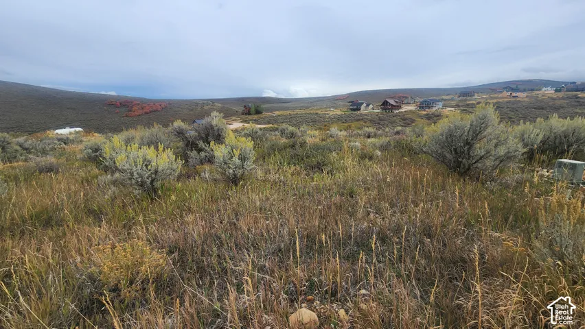 Expansive landscape featuring natural grasses, scattered brush, and distant residential structures