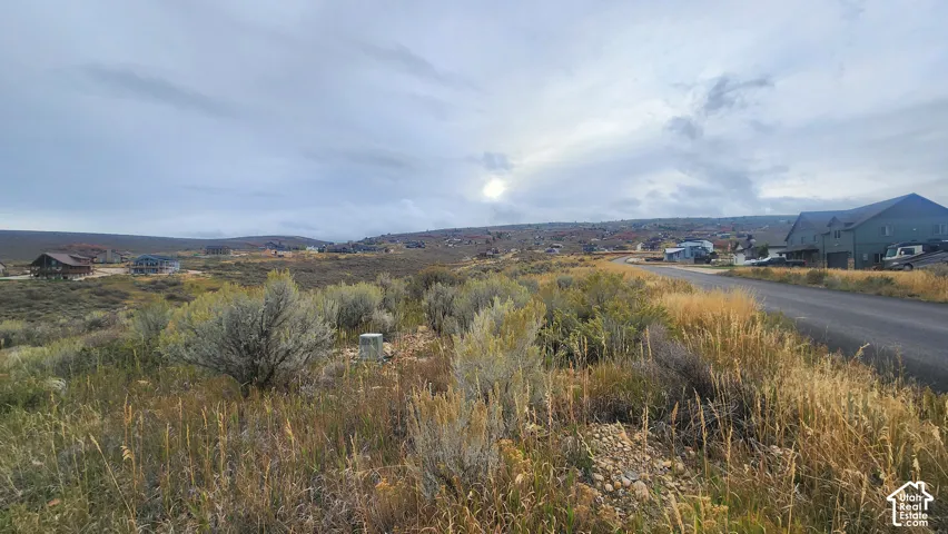 Expansive undeveloped lot featuring varied natural vegetation and a paved road