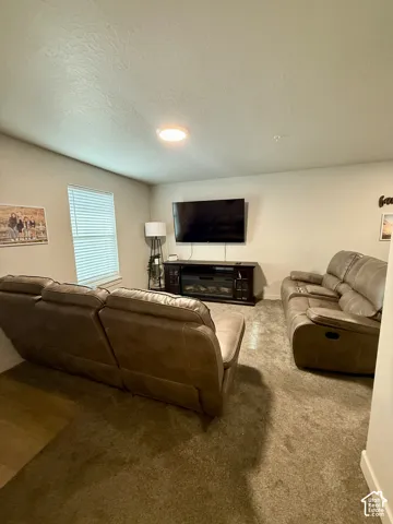 Wall-to-wall carpeting with light-toned walls