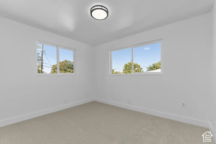 Neutral tone wall paint, carpeted flooring, two windows, and a flush-mount ceiling light fixture