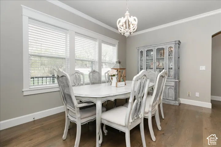 Wood-finish flooring, crown molding, and multiple windows with white trim