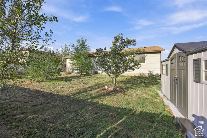 Backyard with fruit trees