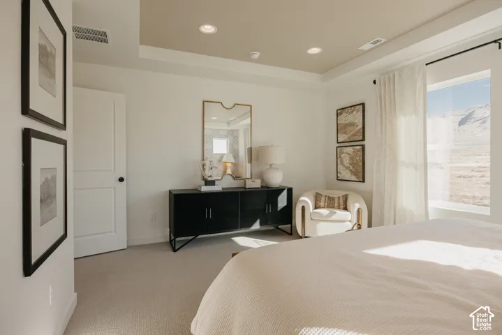 Tray ceiling with recessed lighting, large window with expansive outdoor scenery, white interior door with black hardware, and neutral-toned carpeting