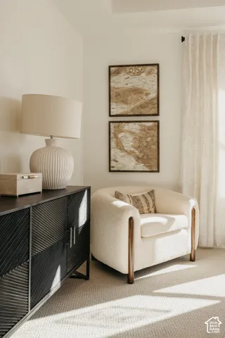 Tray ceiling detail with recessed lighting