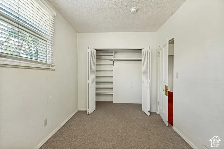 Built-in shelving, hanging rod, carpet flooring, window with blinds, and a paneled door with brass hardware