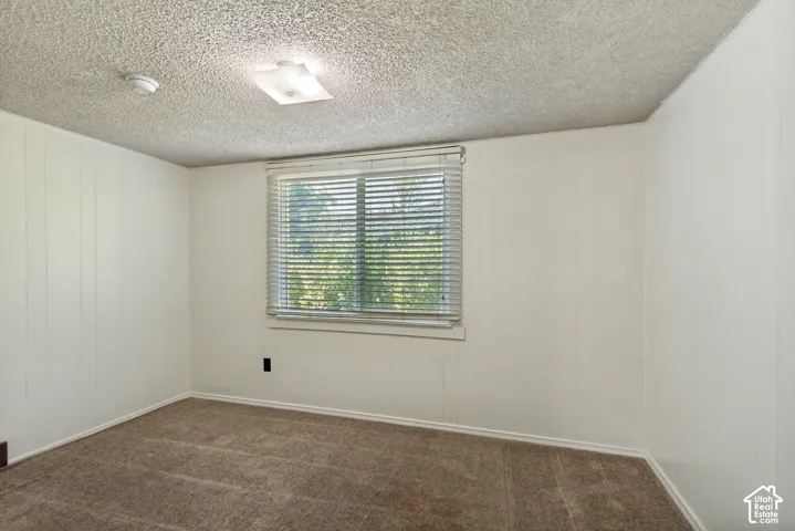 Carpeted flooring, window with blinds, ceiling-mounted light fixture, and textured ceiling