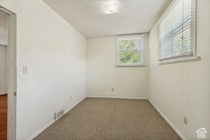 Textured white walls with neutral carpeting, featuring two windows with horizontal blinds and an overhead flush-mount light fixture