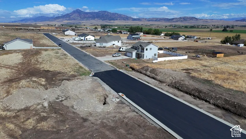 Road looking Northeast