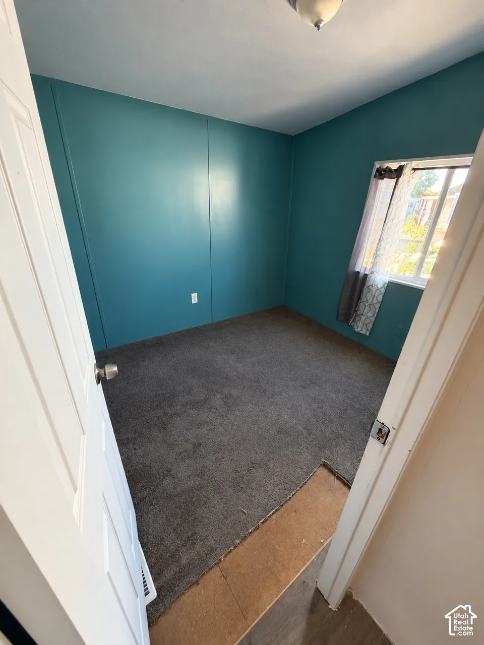 Room featuring blue paneled walls, gray carpet, a white two-panel door, and a flush mount ceiling light