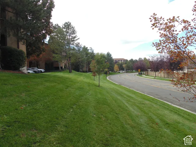 Sloping lawn featuring mature deciduous and evergreen trees situated along a curved asphalt roadway