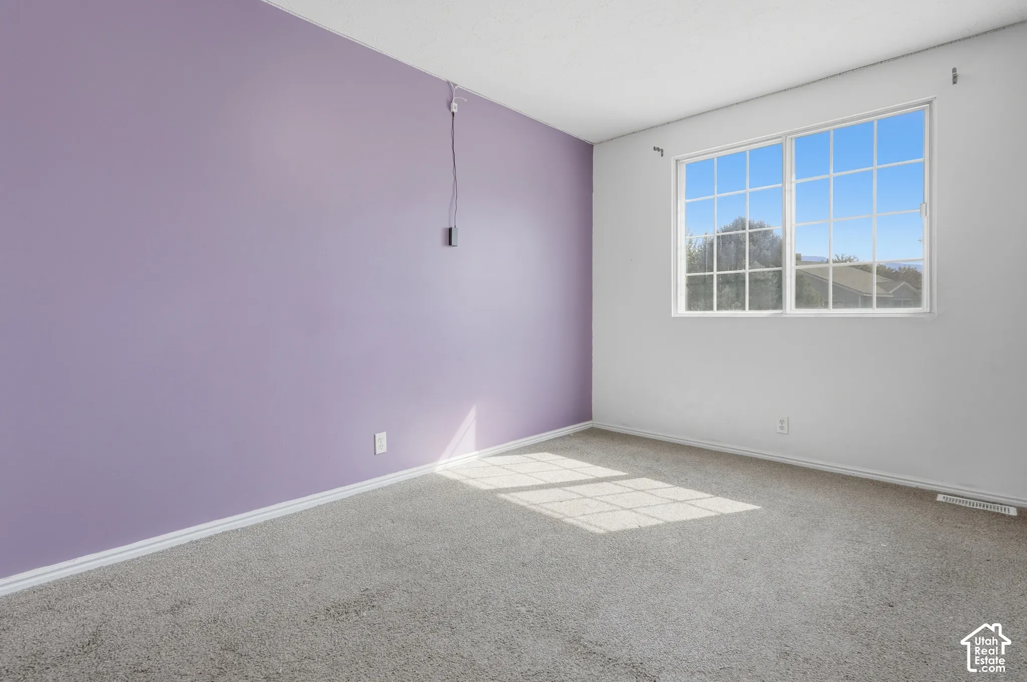 Carpeted flooring, white trim, and a large multi-pane window