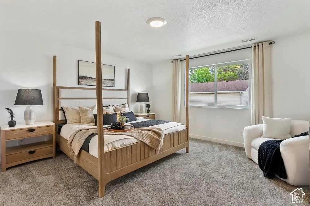 Carpeted flooring, window with natural light, neutral wall colors, and a ceiling-mounted light fixture