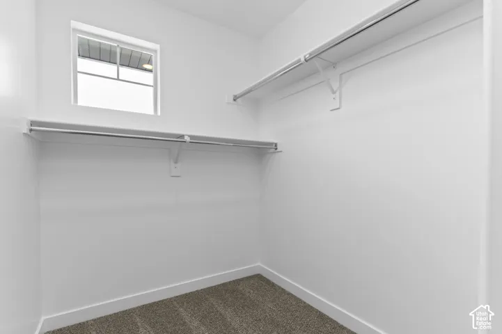 Carpeted flooring, white walls, built-in shelving, and a window