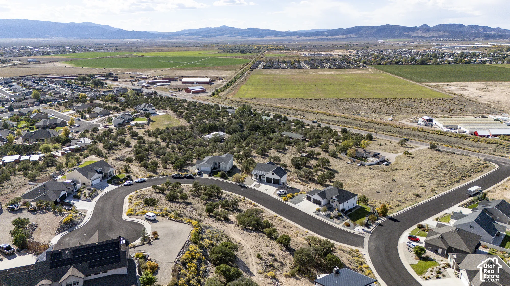 Residential neighborhood featuring a winding paved road, established homes, and undeveloped land