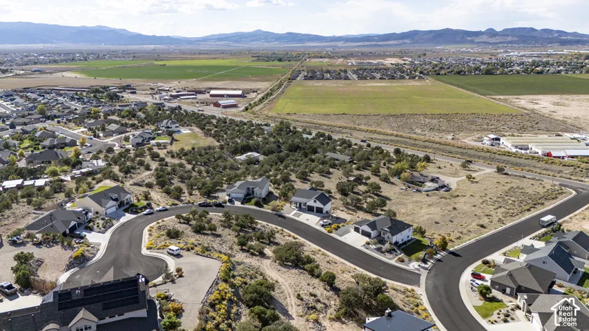 Residential neighborhood featuring a winding paved road, established homes, and undeveloped land